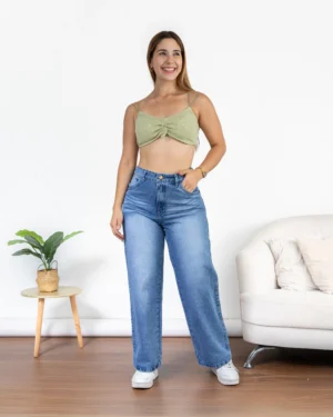 Low Rise Jeans Vanisha Celeste